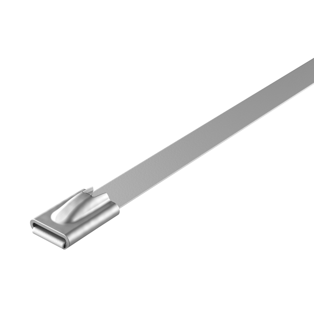 Collier de serrage en SS revêtu de PES SSET